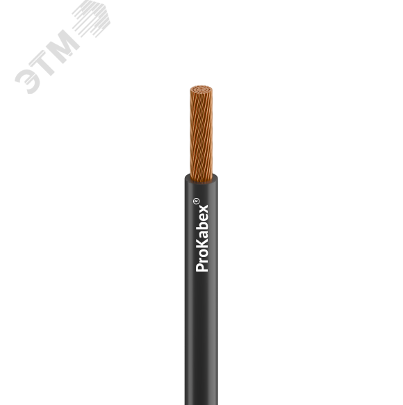 Изображение товара Провод силовой ПуГПнг(A)-HF 1х10 черный 450/750ТРТС (м) Изображение товара Провод силовой ПуГПнг(A)-HF 1х10 черный 450/750ТРТС (м)